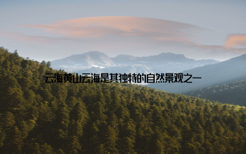 云海黄山云海是其独特的自然景观之一