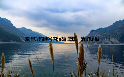 溪流穿越峡谷内溪流潺潺, 清澈见底