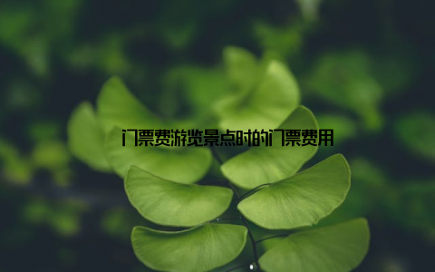 – 门票费游览景点时的门票费用