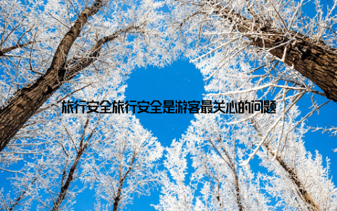 旅行安全旅行安全是游客最关心的问题