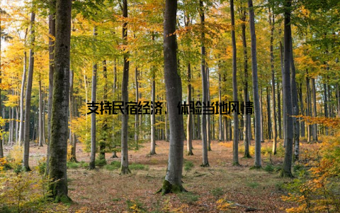 支持民宿经济, 体验当地风情