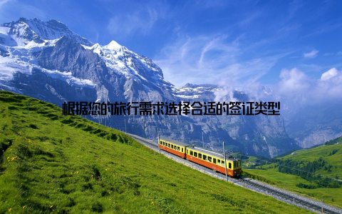 根据您的旅行需求选择合适的签证类型