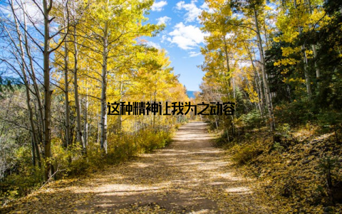 这种精神让我为之动容