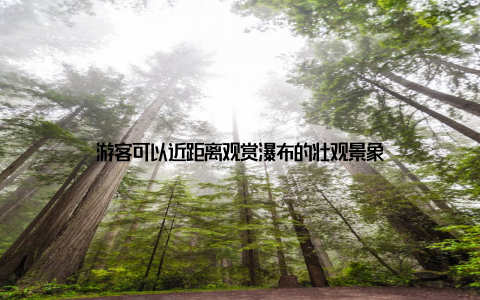 游客可以近距离观赏瀑布的壮观景象