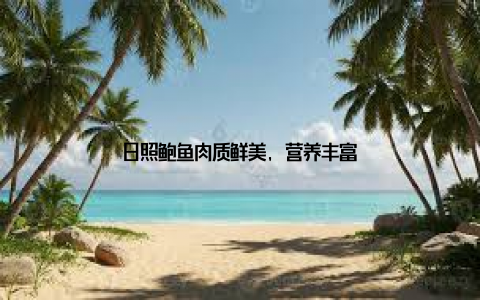 日照鲍鱼肉质鲜美, 营养丰富