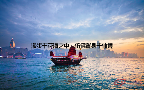 漫步于花海之中, 仿佛置身于仙境