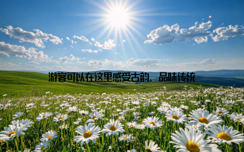 游客可以在这里感受古韵, 品味传统
