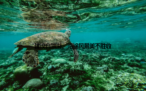 建议自驾游, 沿途风景美不胜收