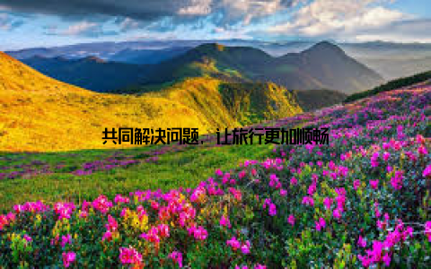 共同解决问题, 让旅行更加顺畅